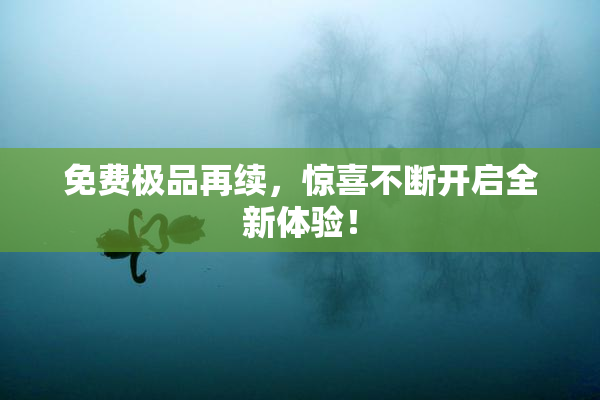 免费极品再续，惊喜不断开启全新体验！