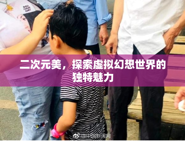 二次元美，探索虚拟幻想世界的独特魅力