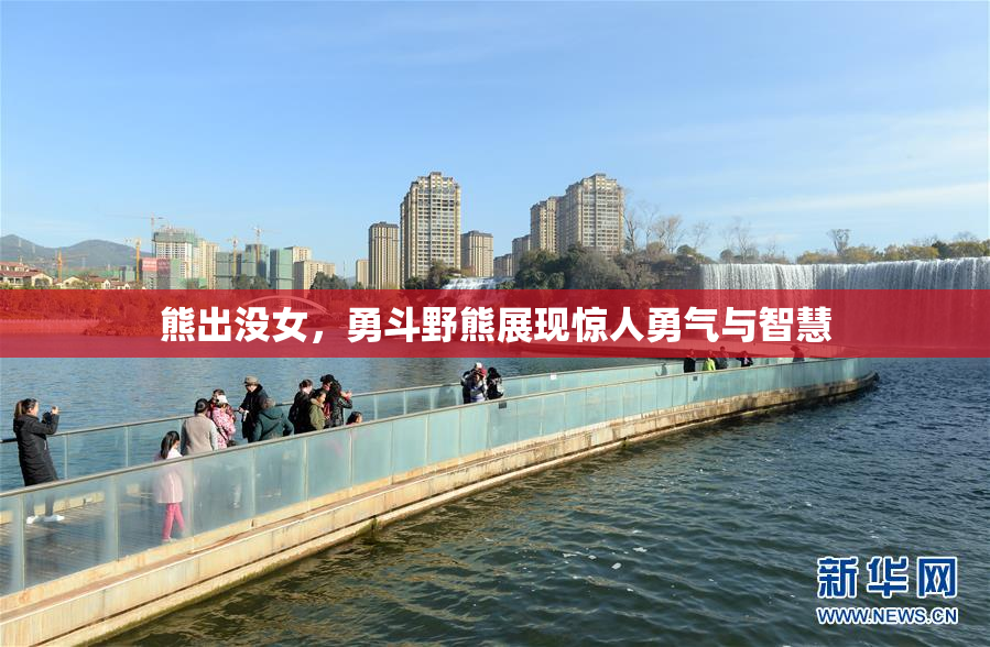 熊出没女，勇斗野熊展现惊人勇气与智慧