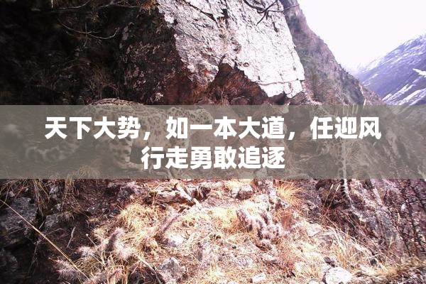 天下大势，如一本大道，任迎风行走勇敢追逐