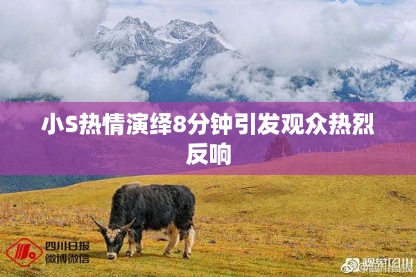 小S热情演绎8分钟引发观众热烈反响