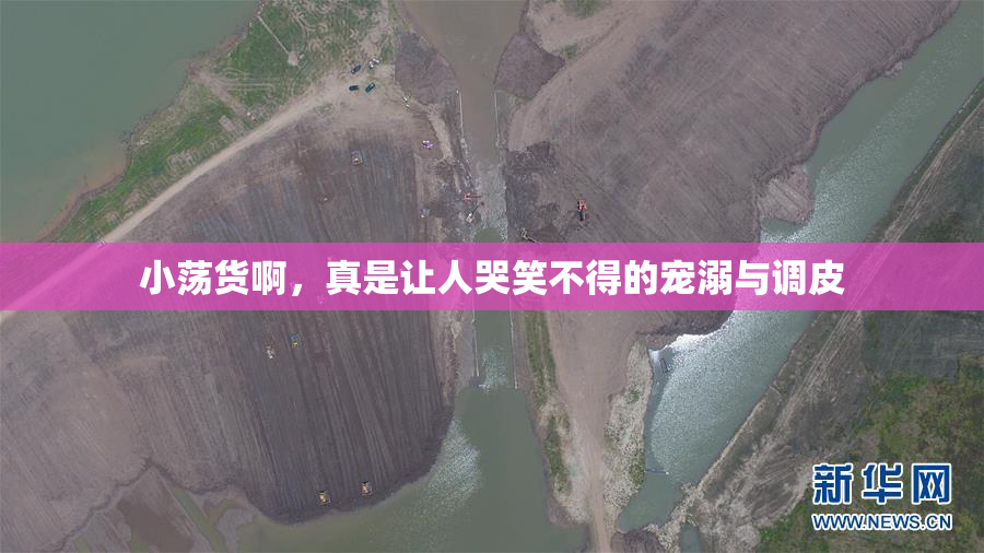 小荡货啊，真是让人哭笑不得的宠溺与调皮