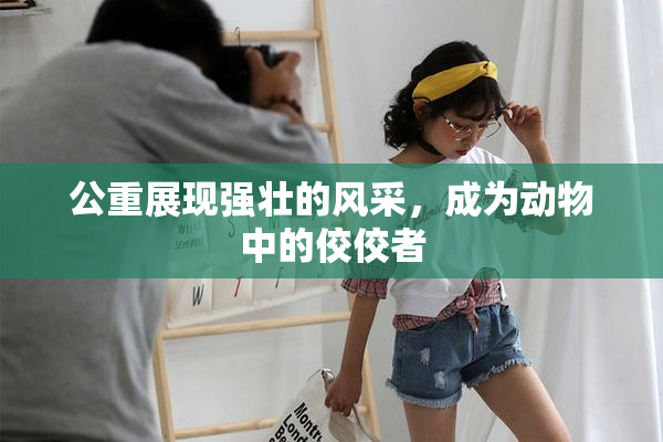 公重展现强壮的风采，成为动物中的佼佼者
