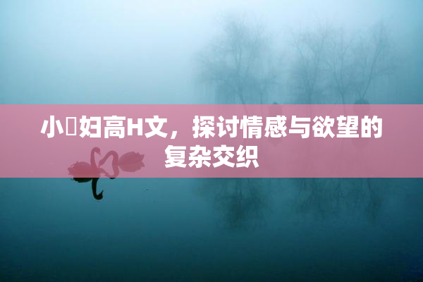 小婬妇高H文，探讨情感与欲望的复杂交织