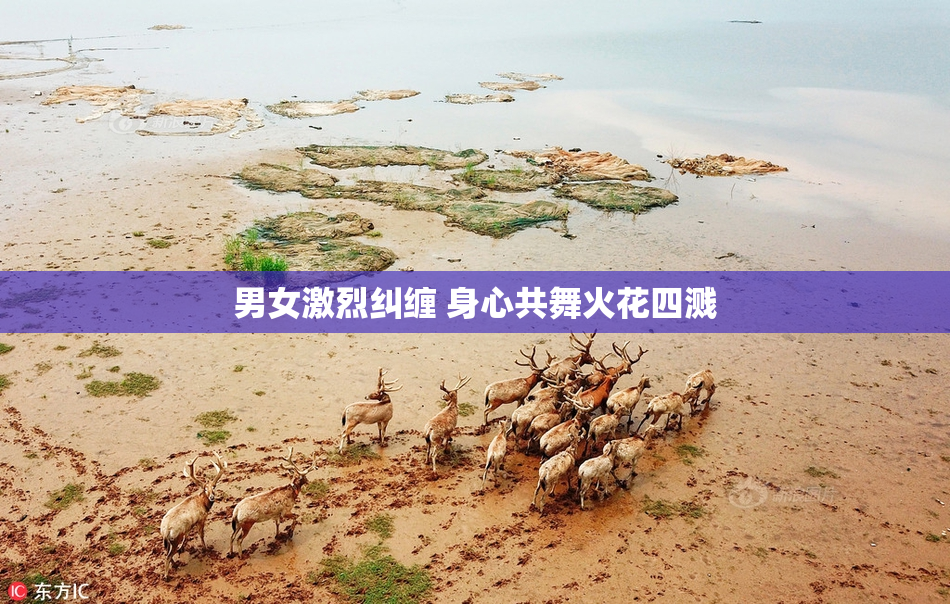 男女激烈纠缠 身心共舞火花四溅