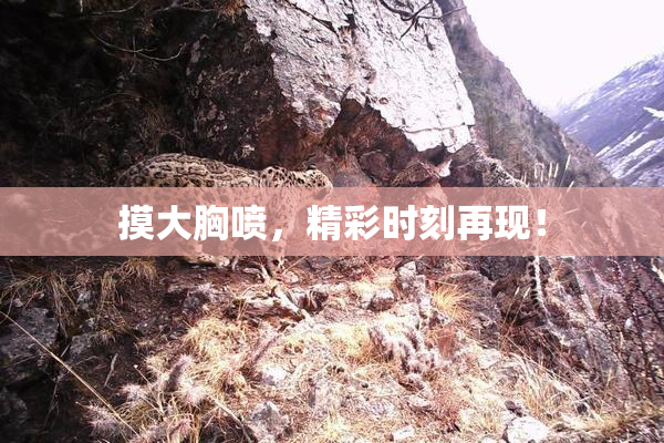 摸大胸喷，精彩时刻再现！