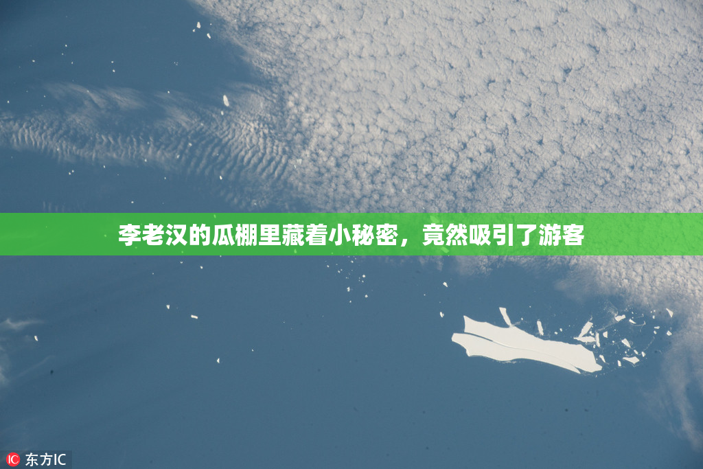 李老汉的瓜棚里藏着小秘密，竟然吸引了游客