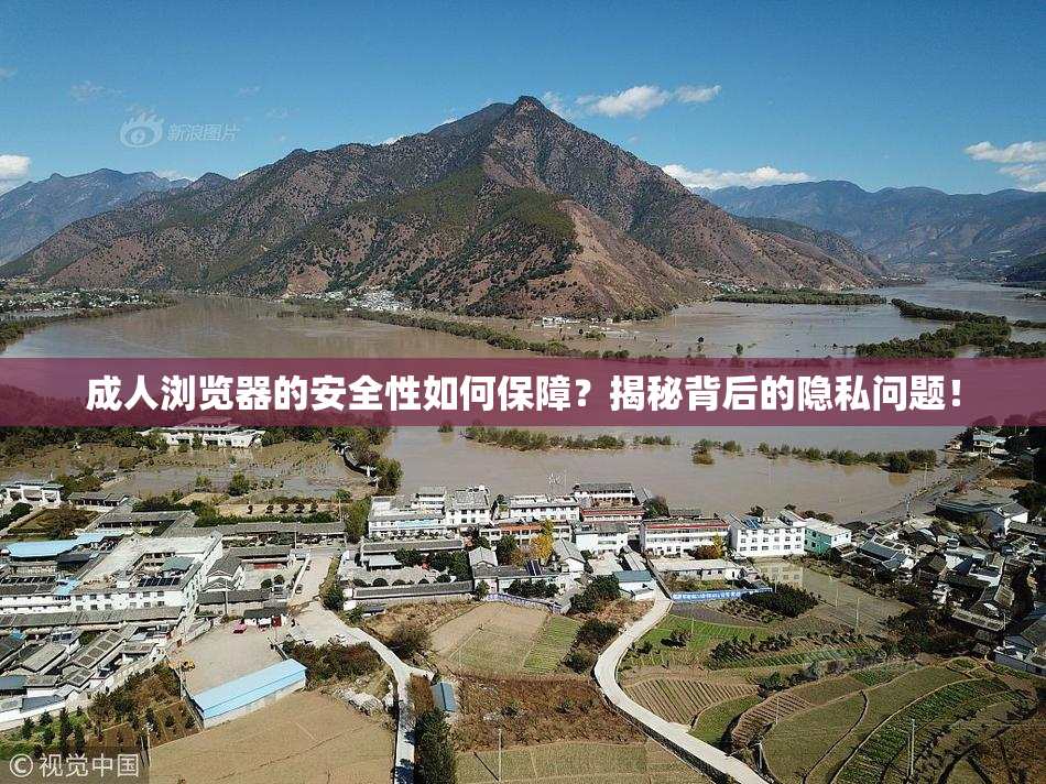 成人浏览器的安全性如何保障？揭秘背后的隐私问题！