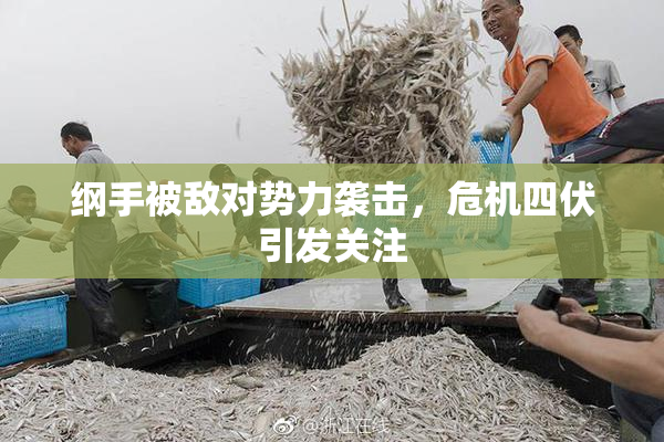 纲手被敌对势力袭击，危机四伏引发关注