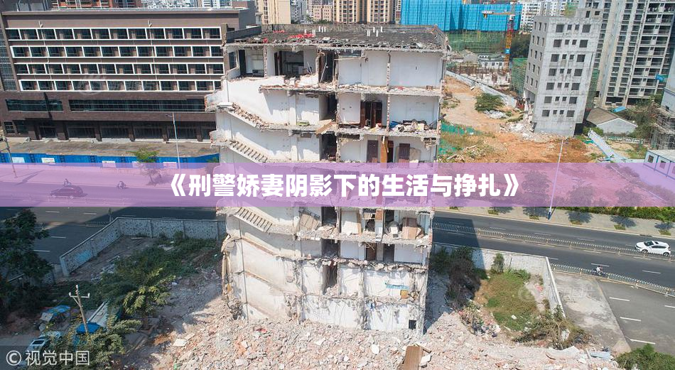 《刑警娇妻阴影下的生活与挣扎》