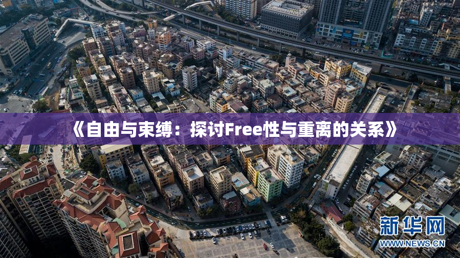 《自由与束缚：探讨Free性与重离的关系》