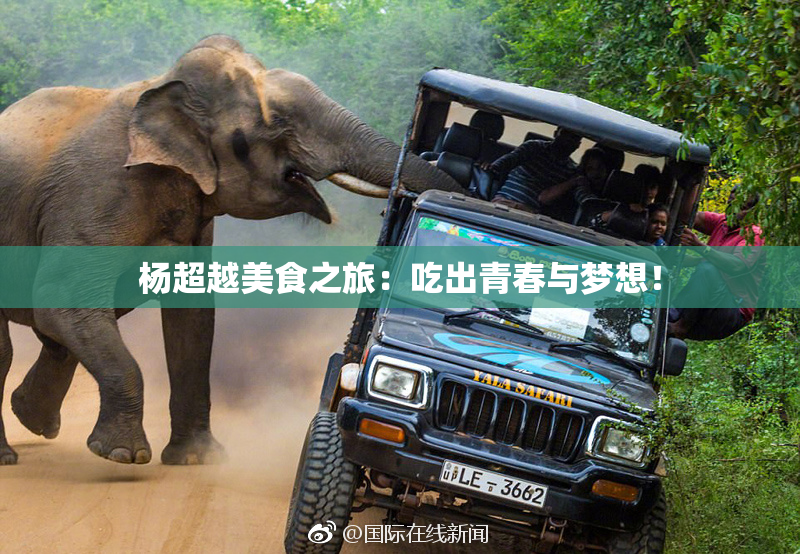 杨超越美食之旅：吃出青春与梦想！