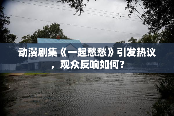 动漫剧集《一起愁愁》引发热议，观众反响如何？