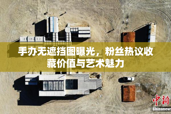 手办无遮挡图曝光，粉丝热议收藏价值与艺术魅力