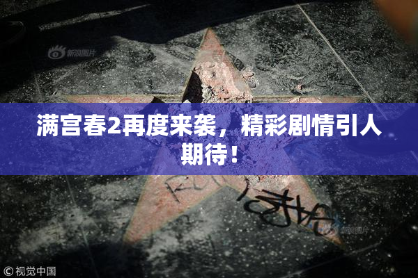 满宫春2再度来袭，精彩剧情引人期待！