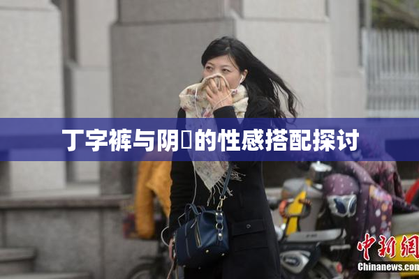 丁字裤与阴脣的性感搭配探讨