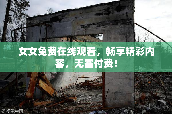 女女免费在线观看，畅享精彩内容，无需付费！