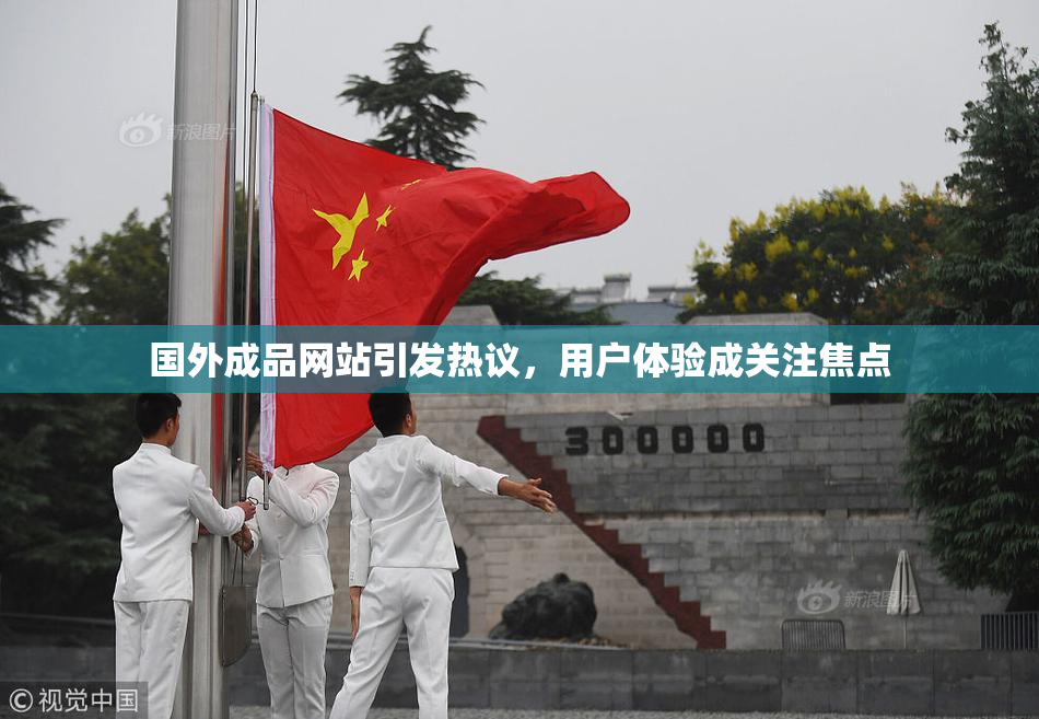 国外成品网站引发热议，用户体验成关注焦点
