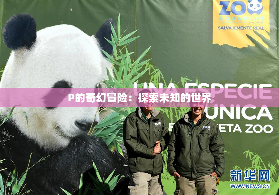 P的奇幻冒险：探索未知的世界