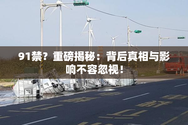 91禁？重磅揭秘：背后真相与影响不容忽视！