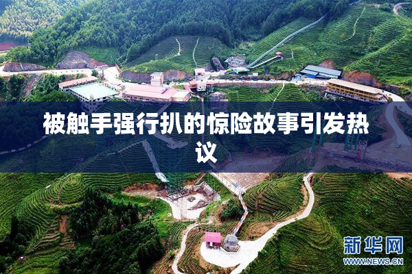 被触手强行扒的惊险故事引发热议