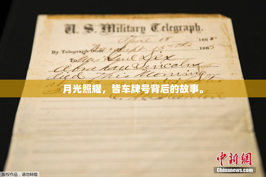 月光照耀，皆车牌号背后的故事。