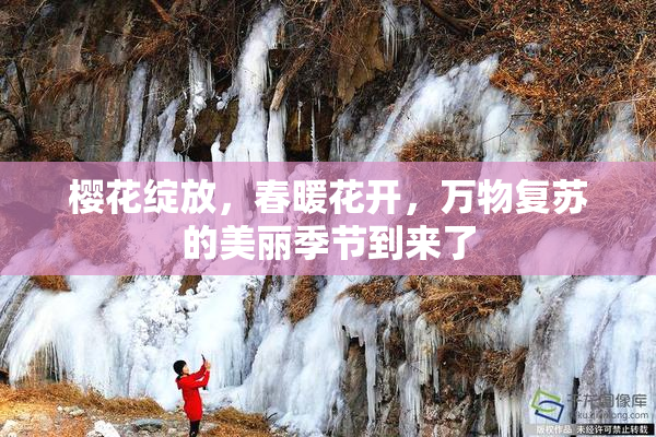 樱花绽放，春暖花开，万物复苏的美丽季节到来了