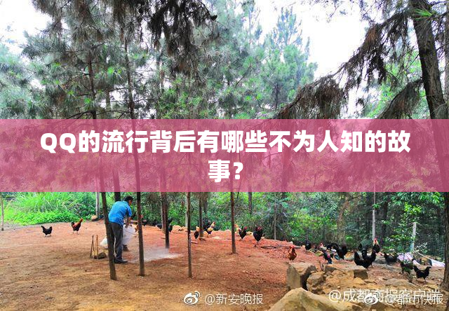 QQ的流行背后有哪些不为人知的故事？