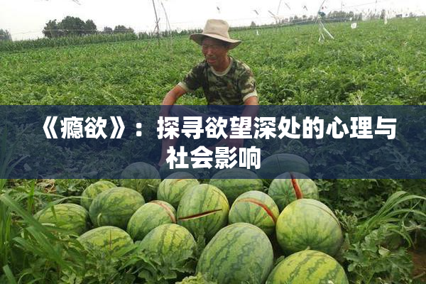 《瘾欲》：探寻欲望深处的心理与社会影响