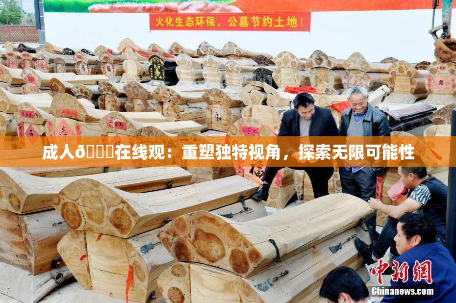 成人🔞在线观：重塑独特视角，探索无限可能性