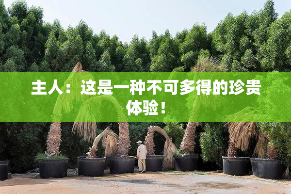 主人：这是一种不可多得的珍贵体验！