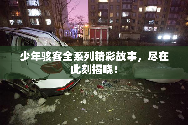 少年骇客全系列精彩故事，尽在此刻揭晓！