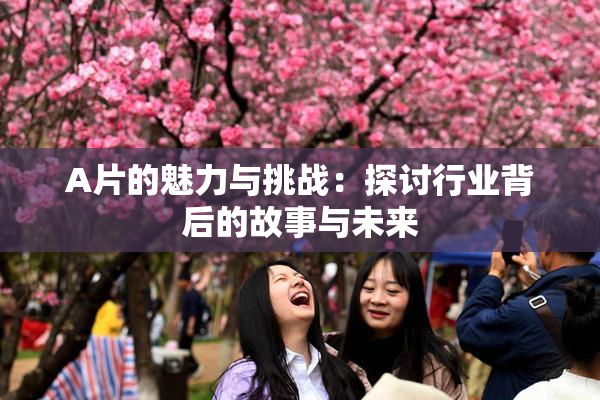 A片的魅力与挑战：探讨行业背后的故事与未来