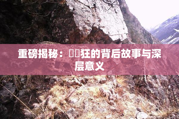 重磅揭秘：❌‌狂的背后故事与深层意义