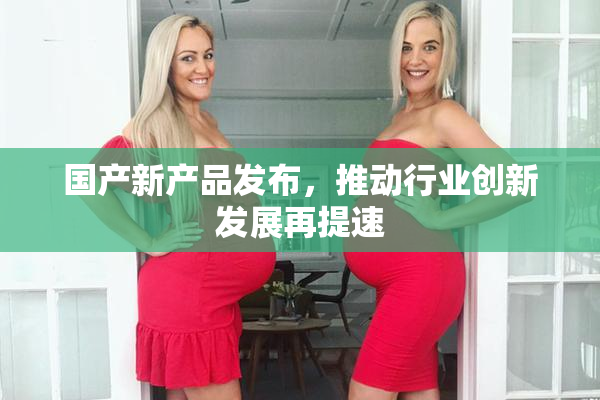 国产新产品发布，推动行业创新发展再提速