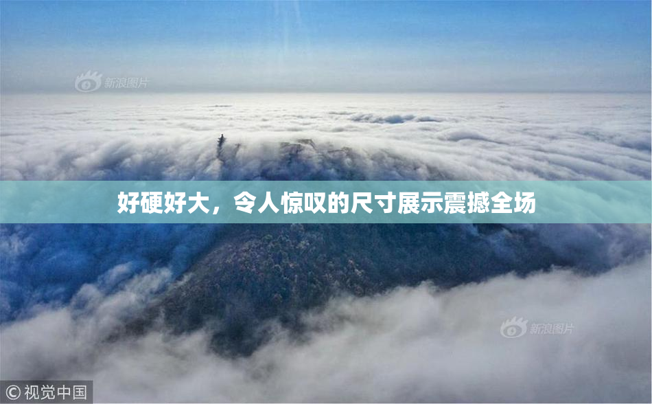 好硬好大，令人惊叹的尺寸展示震撼全场