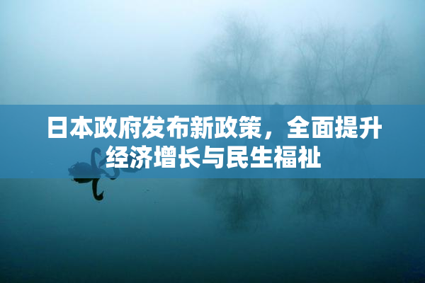 日本政府发布新政策，全面提升经济增长与民生福祉