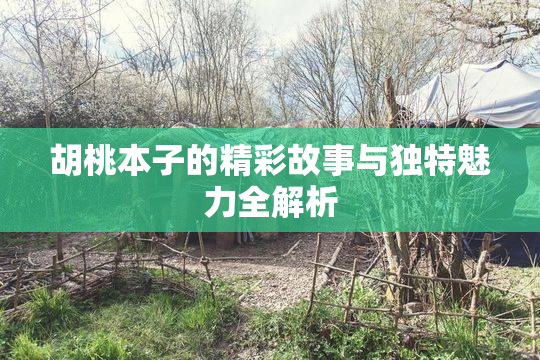 胡桃本子的精彩故事与独特魅力全解析