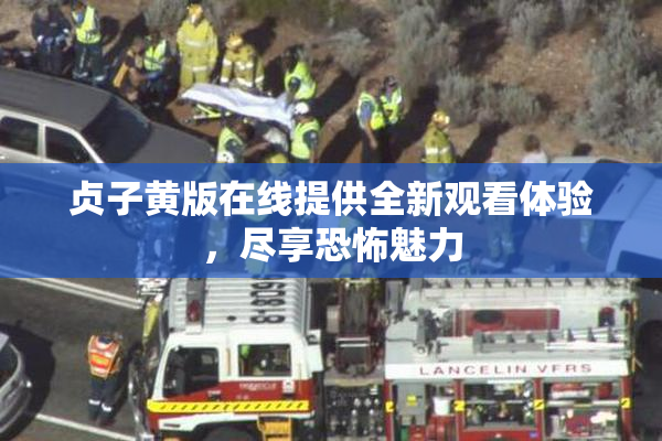 贞子黄版在线提供全新观看体验，尽享恐怖魅力