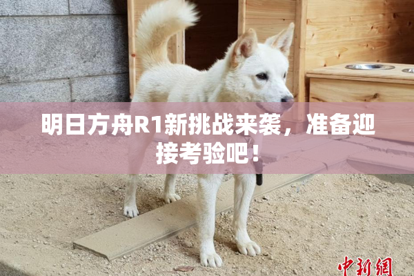 明日方舟R1新挑战来袭，准备迎接考验吧！