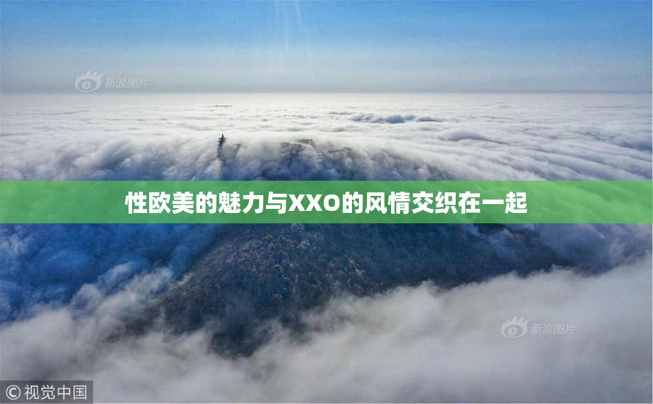 性欧美的魅力与XXO的风情交织在一起