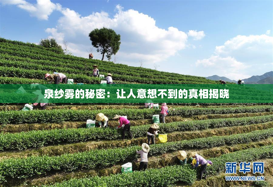 泉纱雾的秘密：让人意想不到的真相揭晓