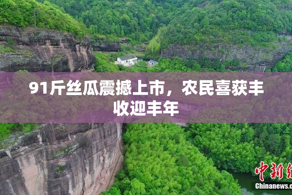 91斤丝瓜震撼上市，农民喜获丰收迎丰年