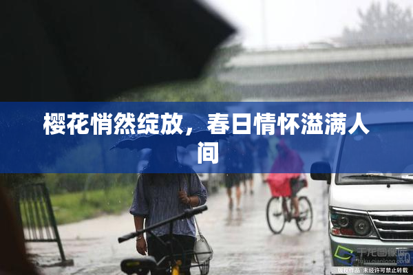 樱花悄然绽放，春日情怀溢满人间