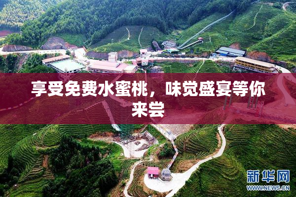 享受免费水蜜桃，味觉盛宴等你来尝