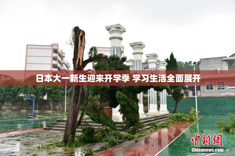 日本大一新生迎来开学季 学习生活全面展开