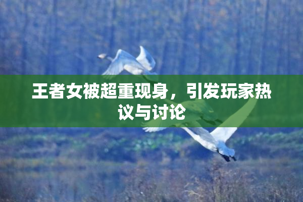 王者女被超重现身，引发玩家热议与讨论