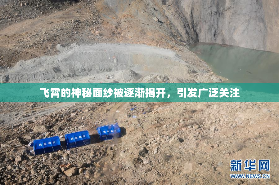 飞霄的神秘面纱被逐渐揭开，引发广泛关注