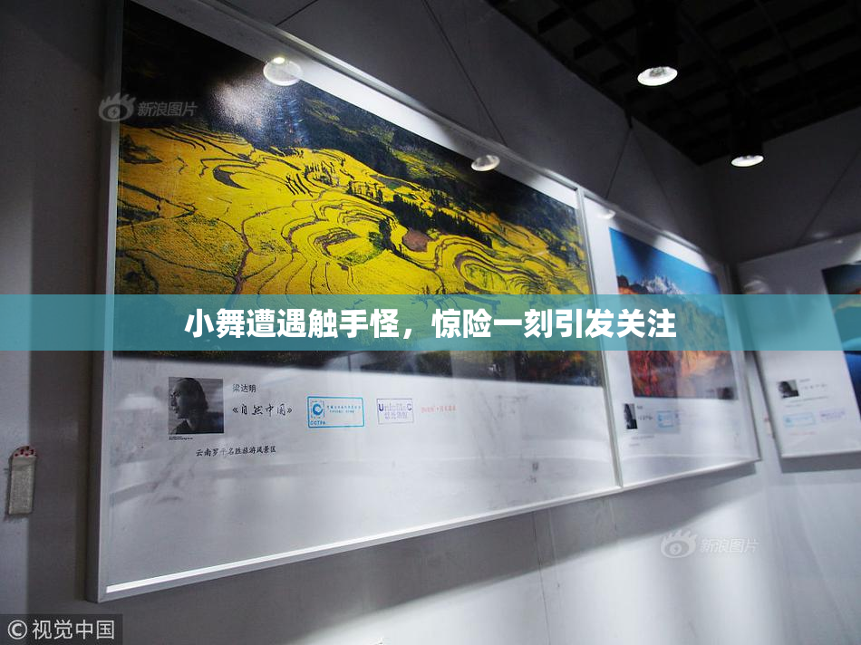 小舞遭遇触手怪，惊险一刻引发关注