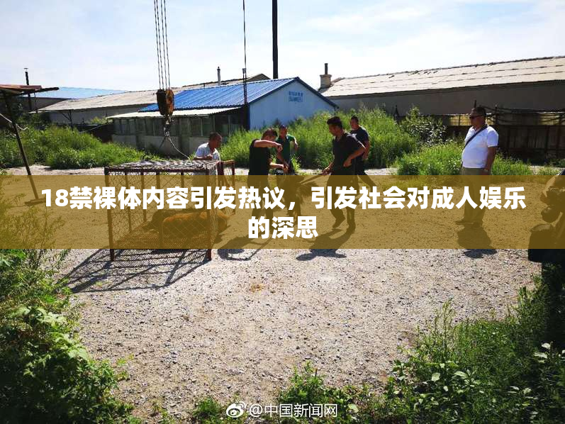 18禁裸体内容引发热议，引发社会对成人娱乐的深思